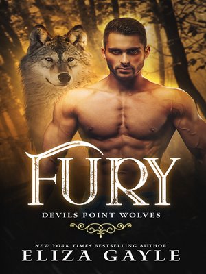 cover image of FURY